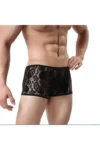 Fantezi Dantelli Seksi Siyah Erkek Boxer – Seksi Erkek İç çamaşırı BC4612