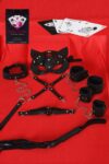 Aria’s Closet Sexy Görselli Oyun Kartı Kama Sutra 7’li Harness Set