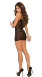 Bacio Fantezi Siyah Seksi Transparan Mini Elbise BC3252