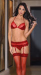 Bacio Fantezi Mini Etekli Seksi Kırmızı Jartiyer Takım BC2371