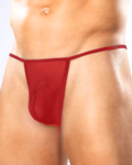 Fantezi Kırmızı Transparan Seksi Tül Erkek String BC4602