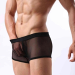Fantezi  Transparan  Tül Erkek Boxer  Fantezi Tanga BC4603