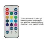 Uzaktan Kumandalı Led Işıklı Küçük Boy Çelik Anal Plug