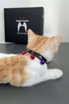 3 Zilli Kedi Tasması