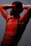 Çivi Detaylı ve Maskeli Erkek Harness Takım