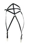 Çok Seksi Lastik Jartiyer Harness – APFT153