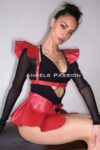 Deri Elbise Harness