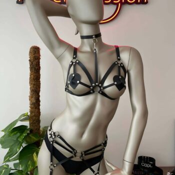 Deri Jartiyer Siyah Harness Takım - APFT451