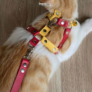 Deri Kedi Gezdirme Tasması, Deri Kedi Göğüs Tasması - NPC013