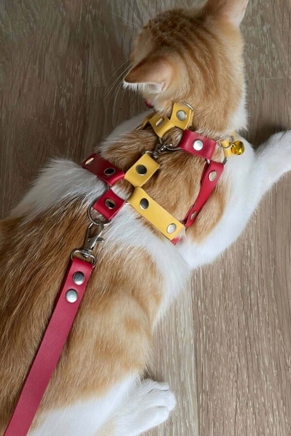 deri kedi gezdirme tasmasi deri kedi gogus tasmasi npc013 kedi harness angels passion 128416 40 B
