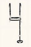 Günlük Kullanıma Sık Seksi Harness – APFT802