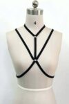 Günlük Kullanıma Uygun Harness – APFT79