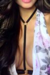 Günlük Kullanıma Uygun Harness – APFT82