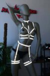 Karanlıkta Parlayan Jartiyer Takım Harness – APFT488