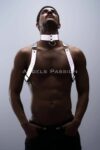 Karanlıkta Parlayan (Reflektörlü) Choker ve Göğüs Harness Takım
