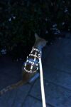 Karanlıkta Parlayan Reflektörlü Şık Kedi Harness