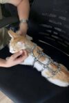 Renkli Reflektör Karanlıkta Parlayan Şık Kedi Harness