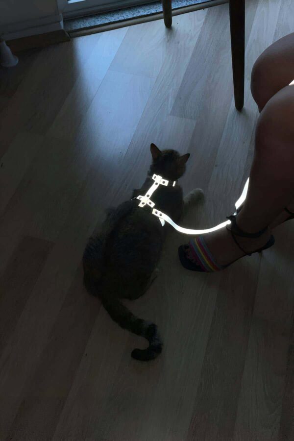 karanlikta yansiyan reflektorlu kedi harness ozel tasarim kedi harness npc007 kedi harness angels passion 128411 39 B