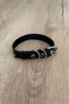 Kedi Deri Harness