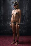 Kedi Maskeli El ve Ayak Kelepçeli – Tasmalı Fantazi Slave Set – APFT1341
