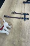 Kedi Reflektörlü Harness Göğüs Ve Gezdirme Seti – NPC007