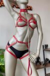 Kırmızı Deri Tasma Detaylı Şık Harness Takım