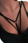 Özel Tasarım Harness – APFT88