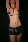 Özel Tasarım Harness – APFT90