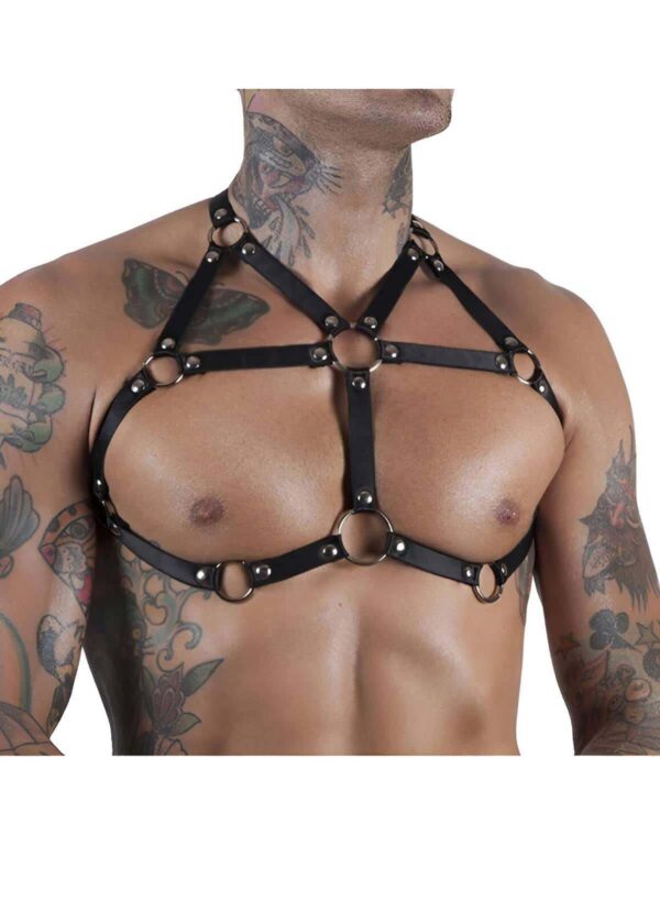 seksi lastik fantazi gay giyim apftm57 erkek harness angels passion 122924 38 B