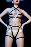 Zincir Detaylı Seksi Deri Harness Takım – APFT1224