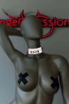Reflektörlü Choker Tasma – APFT407